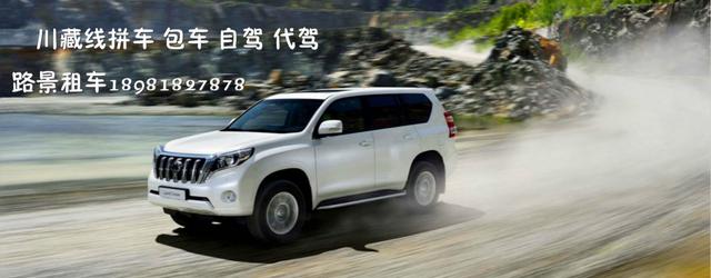 旅游租車展示車型