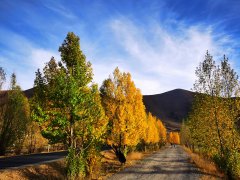 成都包車游川藏線自助游價格大概多少