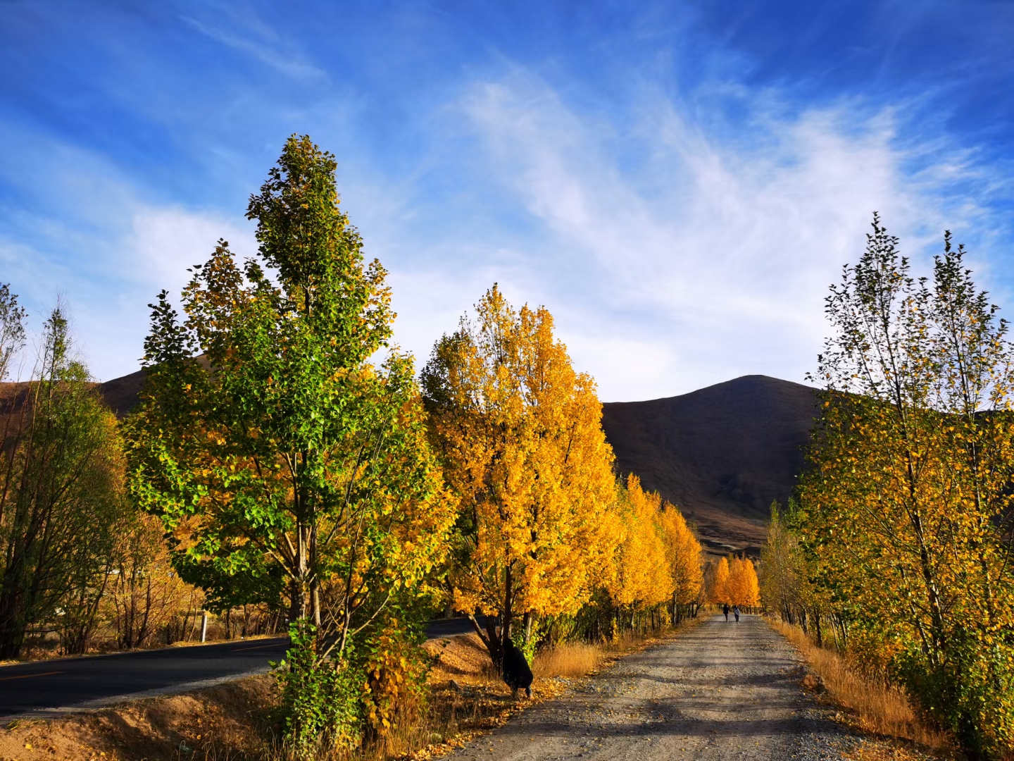 成都包車游川藏線自助游價格大概多少