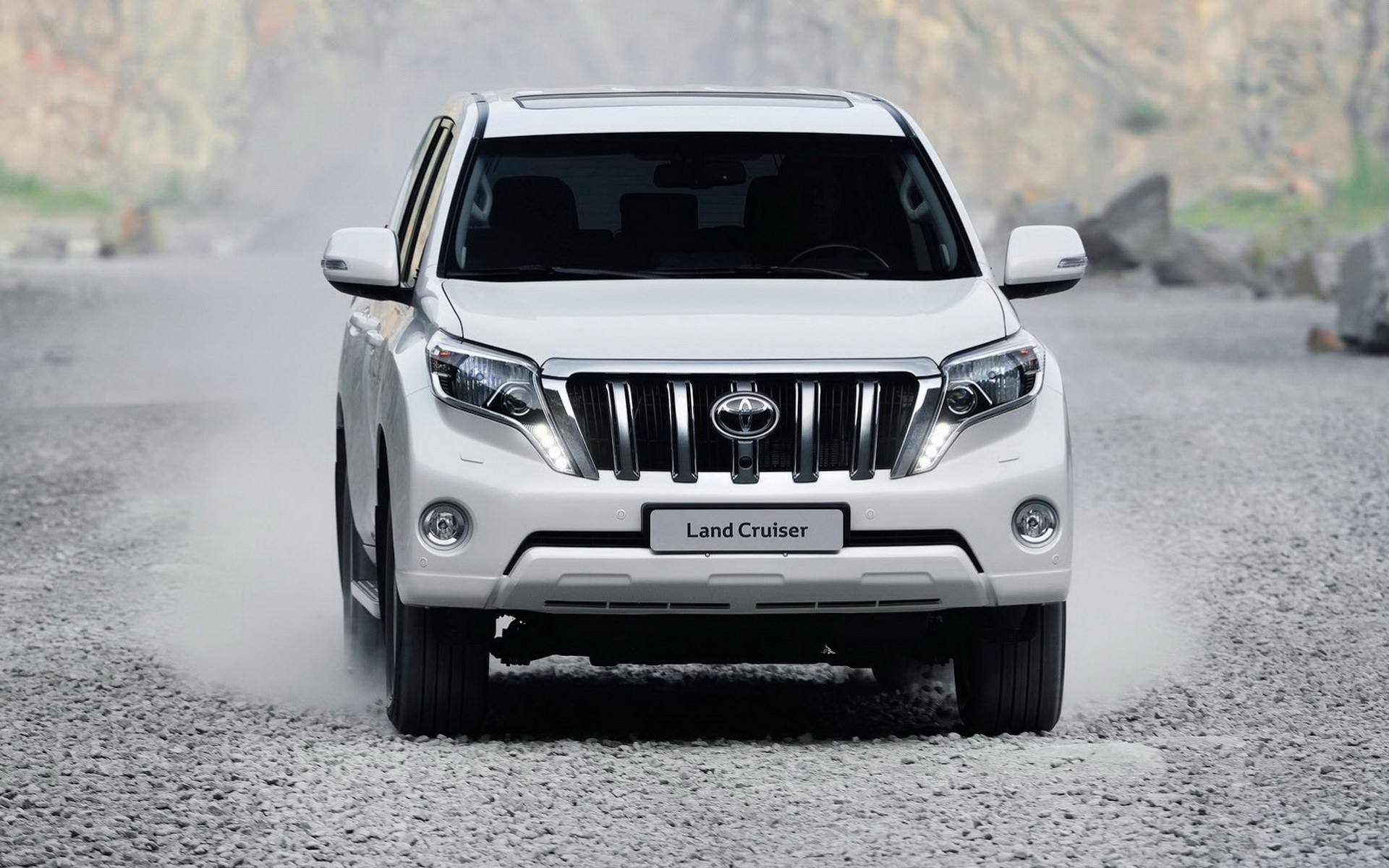 成都最低租車價格就選路景租車