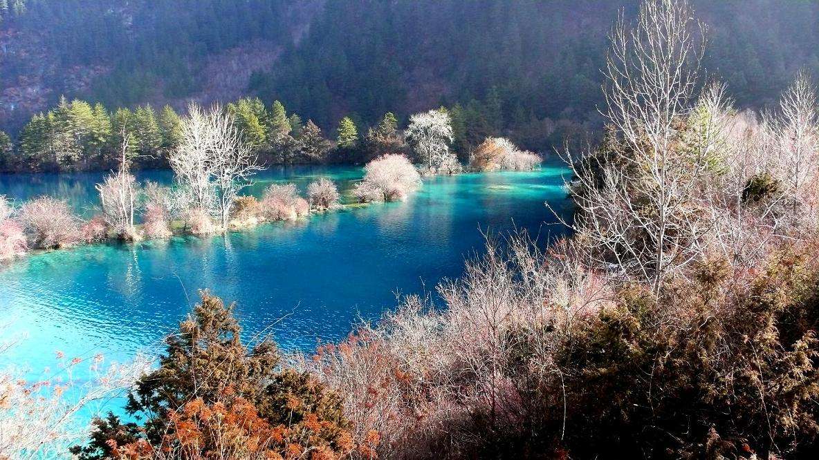 從成都租車自駕川西