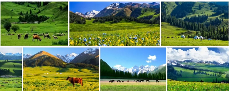 獨(dú)庫公路開通了，租車自駕旅行看美麗風(fēng)景