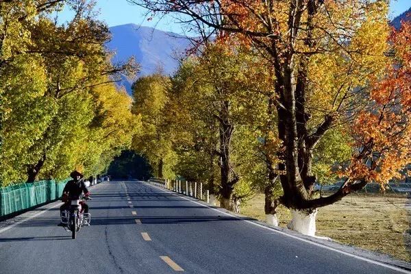 春節租車 春節租車