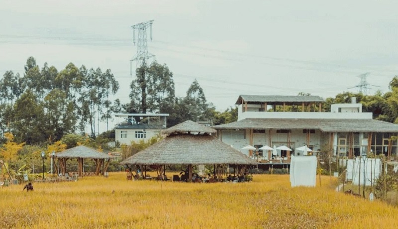 成都泰式農場小草垛.jpg 成都泰式農場小草垛.jpg