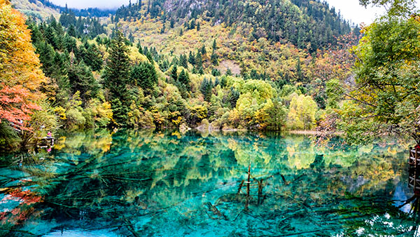 成都旅游租車自駕九寨溝